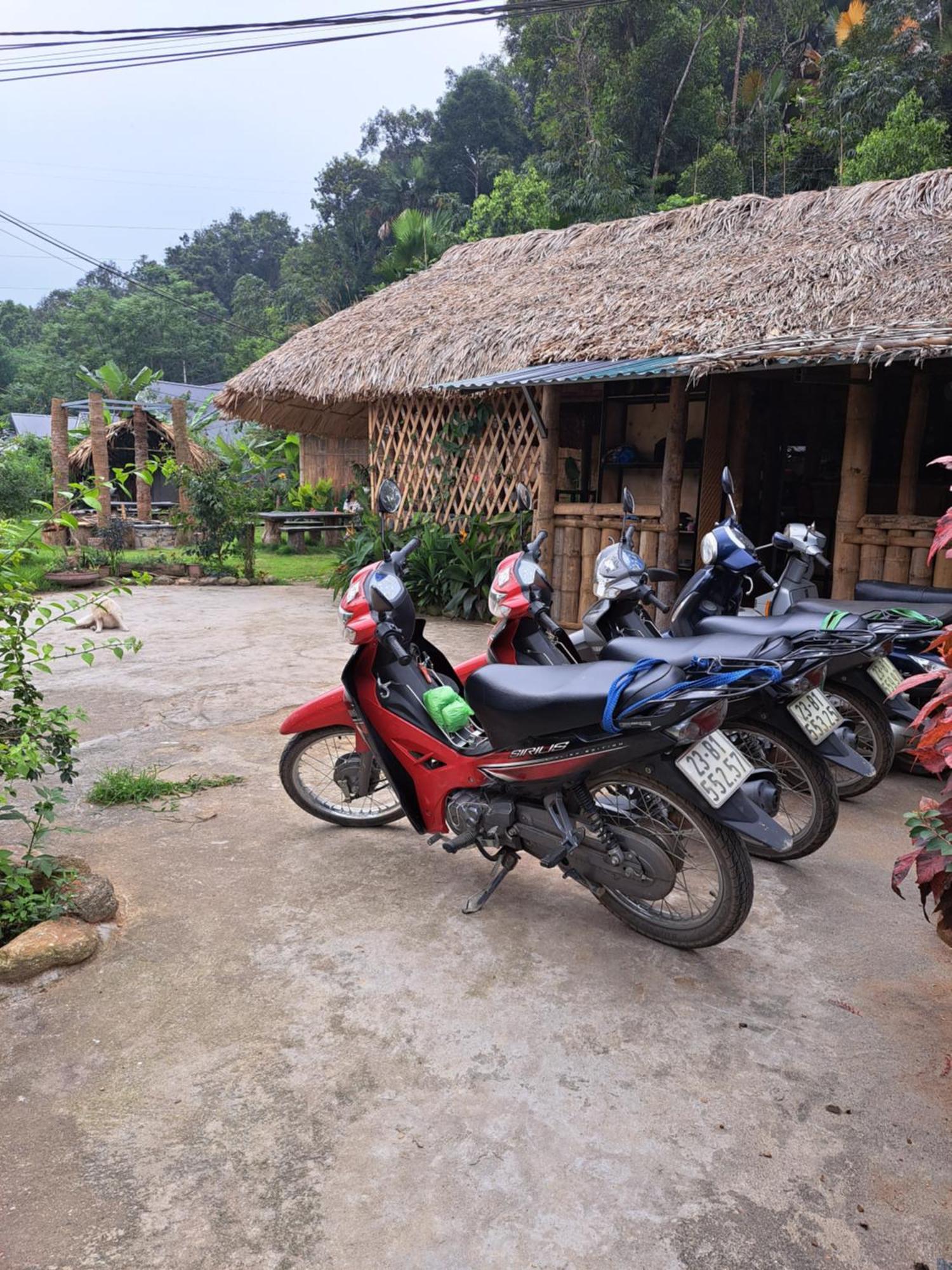 Homestay Field - Bungalow, Ha Giang Loop Tour, Motorbikes Rental Exterior photo