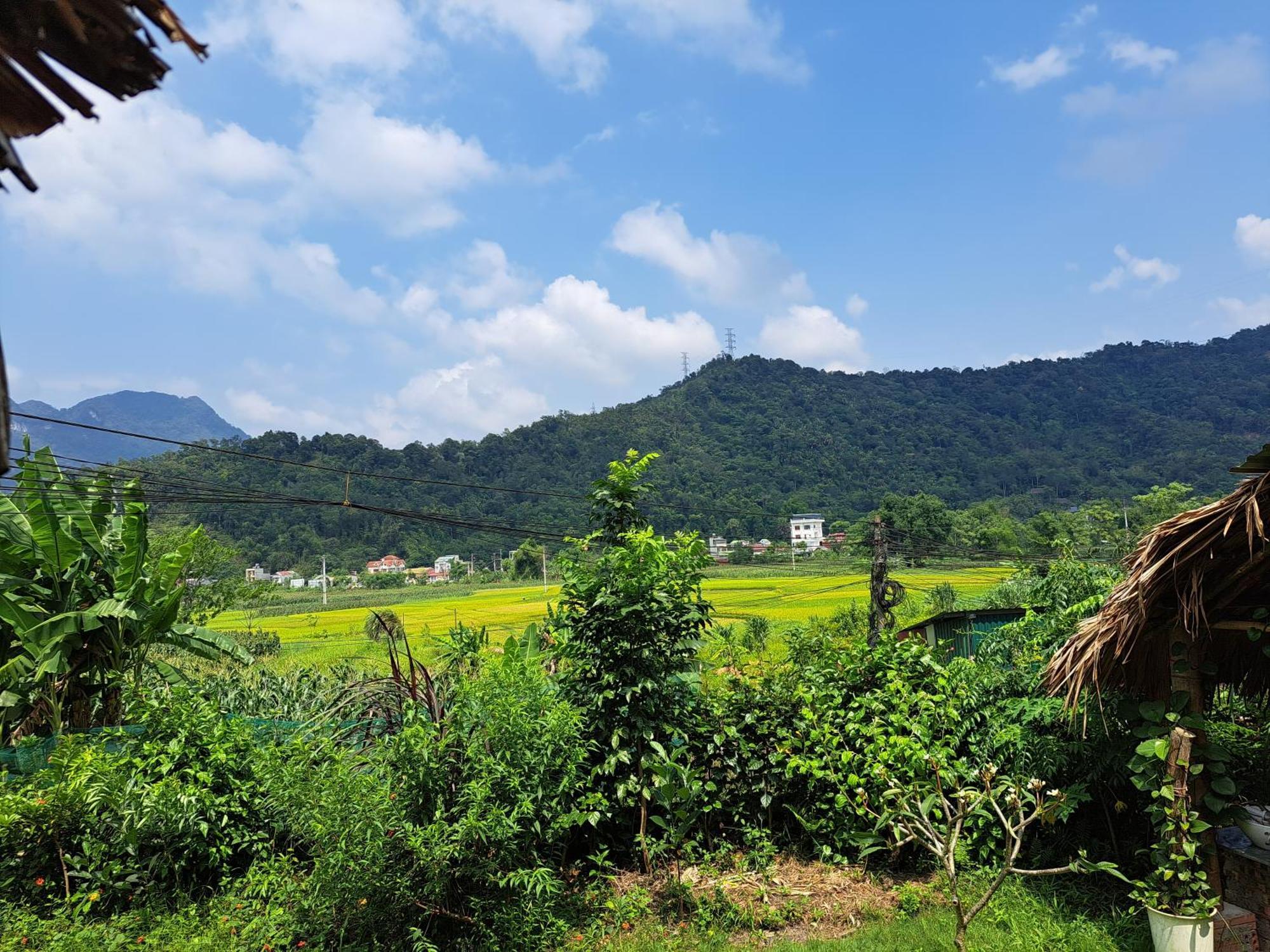 Homestay Field - Bungalow, Ha Giang Loop Tour, Motorbikes Rental Exterior photo