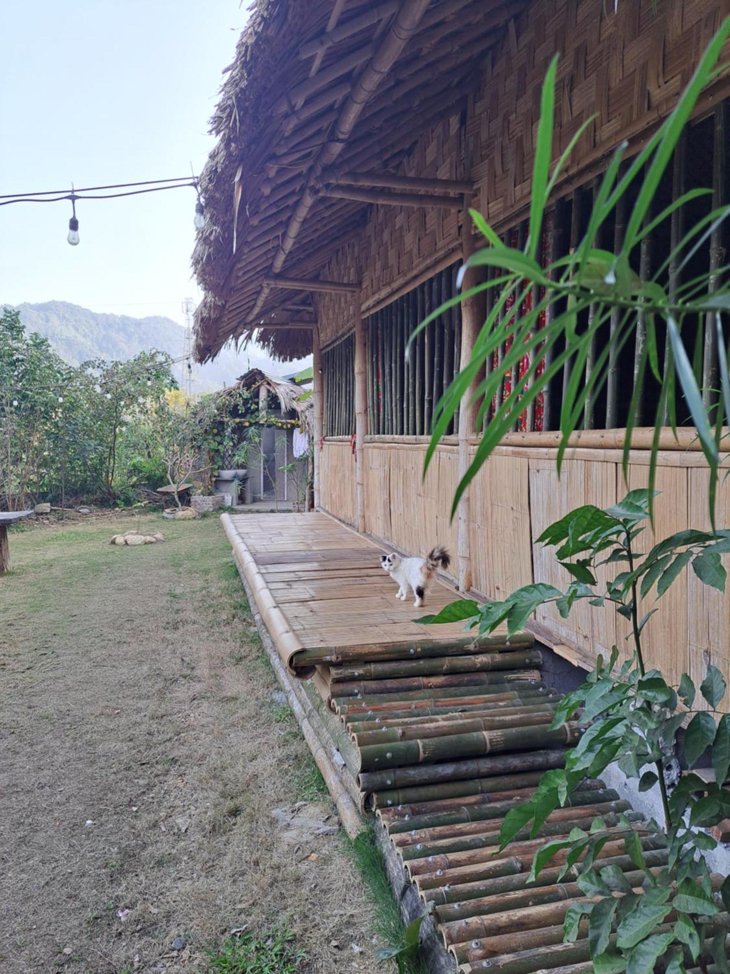 Homestay Field - Bungalow, Ha Giang Loop Tour, Motorbikes Rental Exterior photo