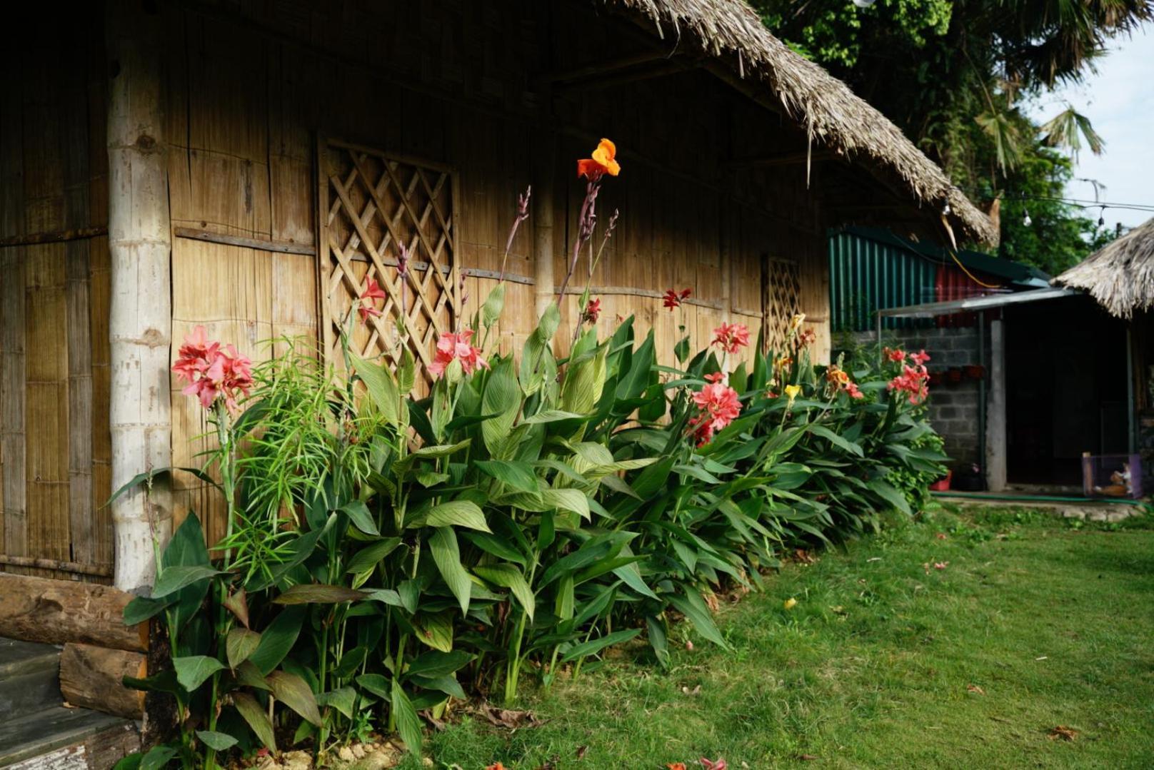Homestay Field - Bungalow, Ha Giang Loop Tour, Motorbikes Rental Exterior photo