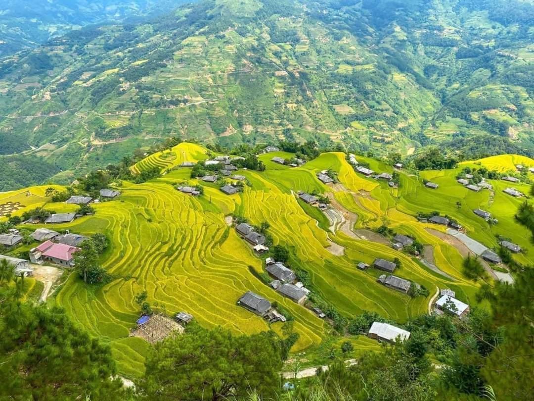 Homestay Field - Bungalow, Ha Giang Loop Tour, Motorbikes Rental Exterior photo